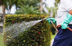Iowa Great Lakes Landscaping & Spraying Service For Sale